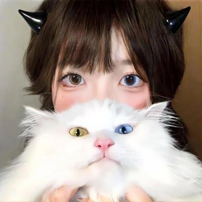 大剑客查禄
